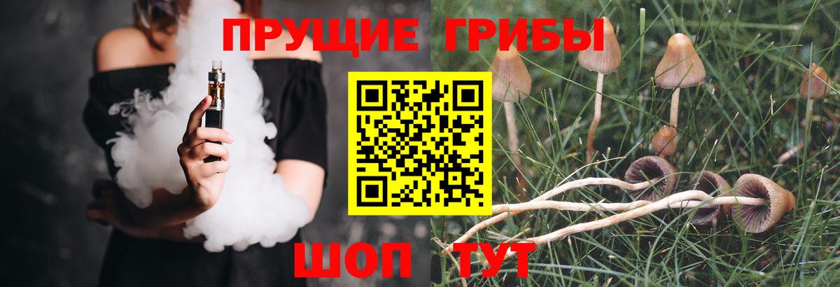 Лесозаводск  Псилоцибиновые грибы GOLDEN TEACHER  Галлюциногенные грибы Magic Shrooms  Вход с VPN 